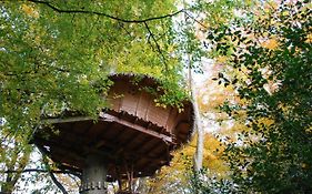 Cabane Clair Soleil